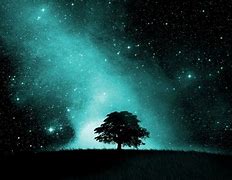 Image result for Night Sky Background