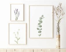 Image result for Botanical Wall Art Decor