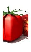 Image result for GMO Tomato