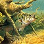 Image result for Cool Fishing Backgrounds