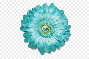 Image result for Kamal Flower Clip Art