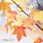 Image result for Fall Nature Clip Art