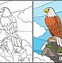 Image result for Eagle Mate Adult Coloring Page