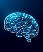 Image result for Neural Network in Human Brain Image