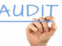 Image result for Audit Funny Pecture