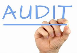 Image result for Internal Control Audit