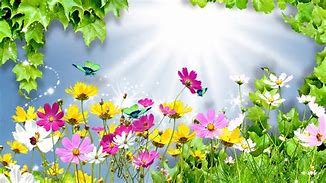 Image result for Bright Colorful Flowers Background