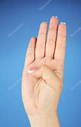 Image result for Sign Language for the Letter B