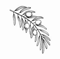 Image result for Olive Branches Designs