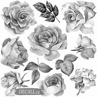 Image result for Watercolor Light Pink Roses