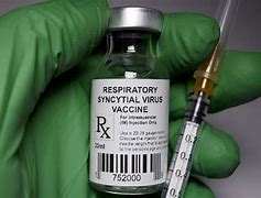 Image result for BCG Vacciné