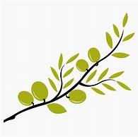 Image result for Olive Branch Graphic Clip Art