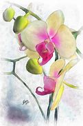 Image result for Lime Green Orchid Painting