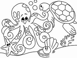 Image result for Free Sea Life Coloring Pages