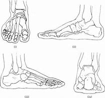 Image result for Skeleton Feet Drawing