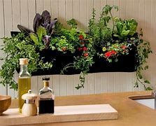 Image result for Home and Gardening Ideas