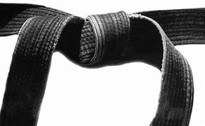 Image result for Black Belt Martial Arts