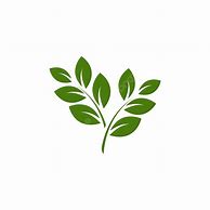 Image result for Leag Branch Vector