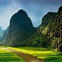 Image result for Tranh Phong Canh Viet Nam