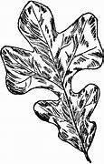 Image result for Post Oak Leaf Designs