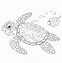 Image result for Turtle Coloring Pages for Toddlers