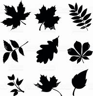 Image result for Leaves Silhouette Vector