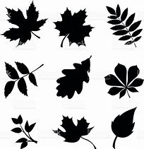 Image result for Leaf Silhouette Vector Clip Art