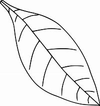 Image result for Leaf Drawing for Kids Coloring