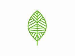 Image result for Leafy Image Icon 3D