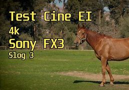 Image result for Cine Ei Vs. ISO