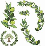 Image result for Olive Branch Graphic Clip Art