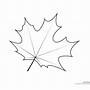 Image result for Maple Leaf Template