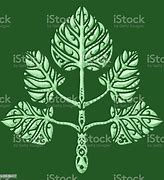 Image result for Tree Branch Silhouette Clip Art Border