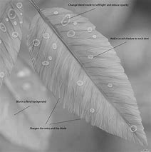 Image result for Realistic Leaf Clip Art