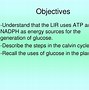 Image result for Light-Dependent Steps