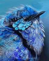 Image result for Old Rustic Fence with Kingfisher Bird Painting