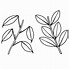 Image result for Leaf Drawing for Kids Coloring