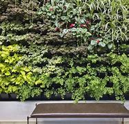 Image result for Inn Door Living Wall