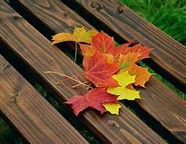 Image result for Fall Leaf Coloring Sheet