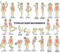 Image result for Sdof Undamped Movement Diagram