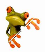 Image result for Frog Car Bonnet Decals