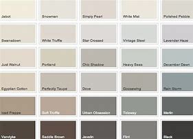 Image result for Shades of Brown Paint Colours