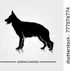 Image result for German Shepherd Coat Types