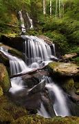 Image result for Enchanted Forest Wood Lakes