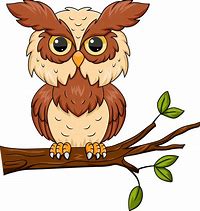 Image result for Owl On Tree Branch