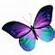 Image result for Butterfly Hairitage Logo