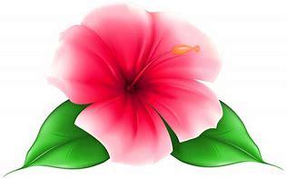 Image result for Hawaiian Themed Coloring Pages