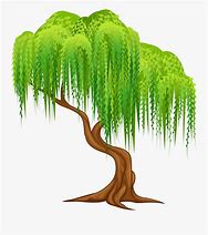 Image result for Willow Tree Clip Art Colorful