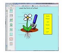 Image result for Velcro Diagram of Plant Life Cycle