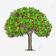 Image result for Pohon Apple Vector